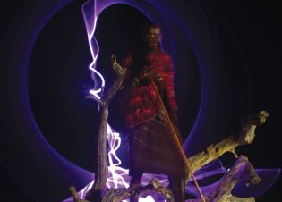 Une oeuvre de Leidylei