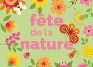 Fleurs, abeilles, papillons,Fête de la nature