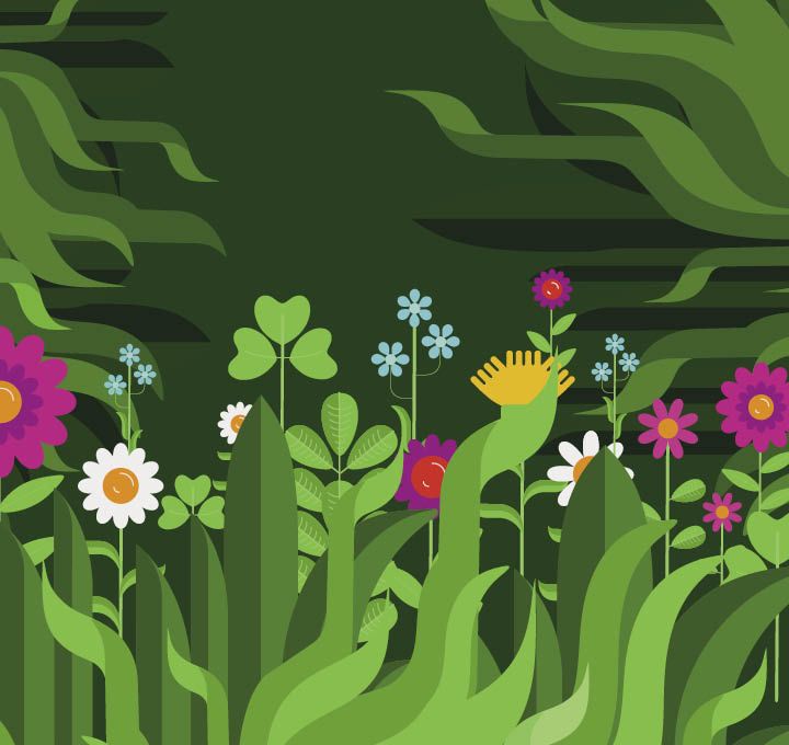 Illustration de fleurs des champs