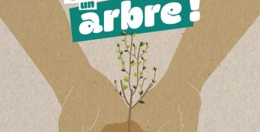 des mains portent les racines d'un arbre