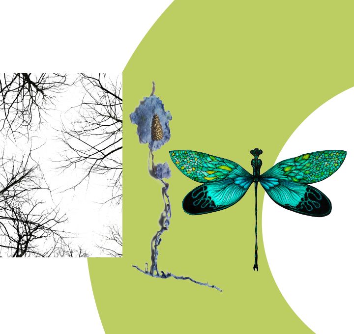 Une libellule,la cime des arbres en hiver et une pomme de pin sur une branche bleue, trois ouevres de l'exposition Traversée