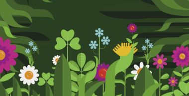 Illustration de fleurs des champs