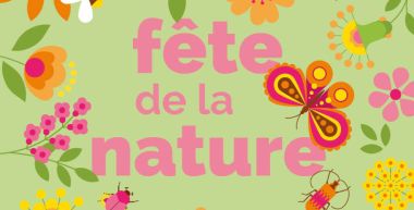 Fleurs, abeilles, papillons,Fête de la nature